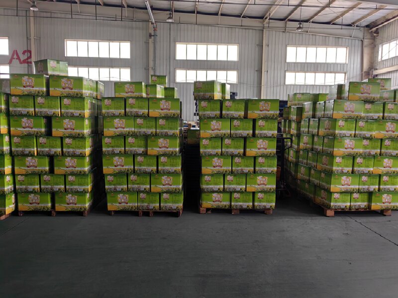 蘇州至寶山區(qū)物流公司